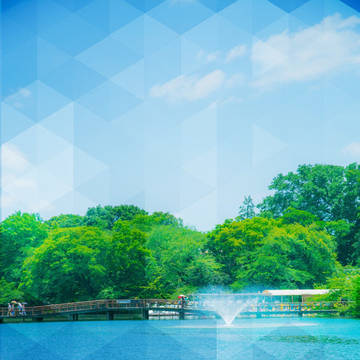 夏