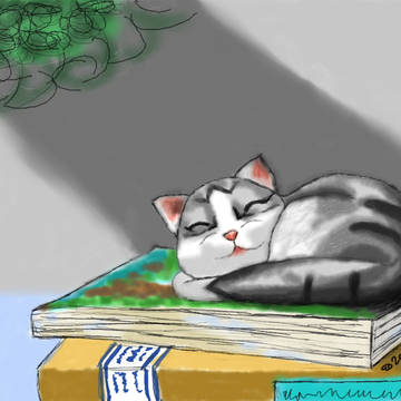 三花猫喵~
