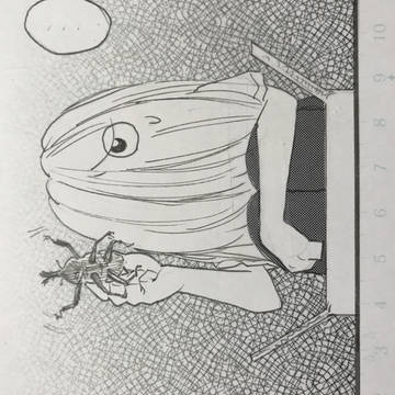 コルトピとカブトムシ