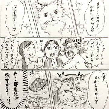 クロの日常