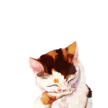不高兴
