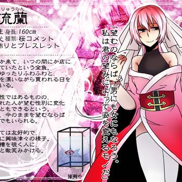 【金救ふ】流蘭【金魚】