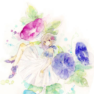 Morning glory
