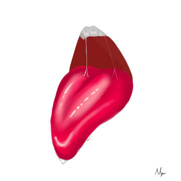 舌