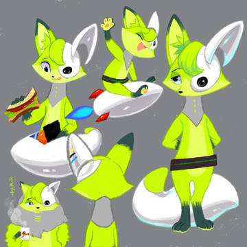 Page 13 thumbnail
