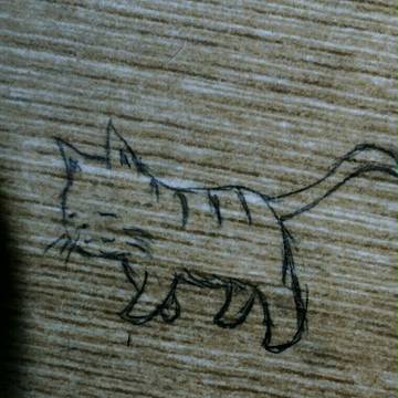 落書き猫
