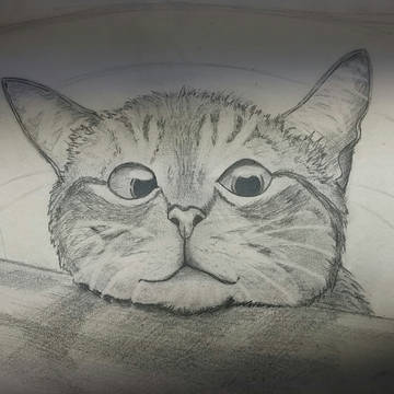 猫