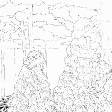 clouds