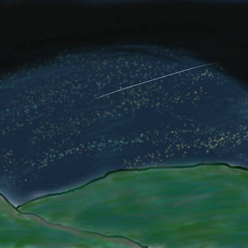 夜の山