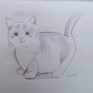 猫猫