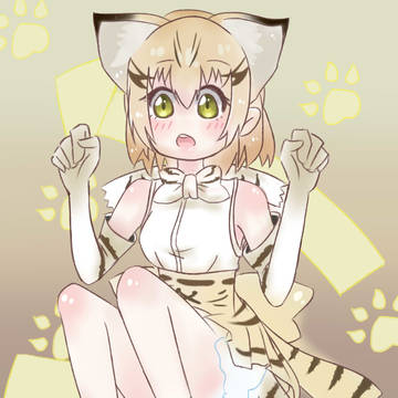 スナネコ【沙丘猫】