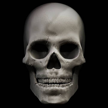 SKULL