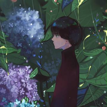 雨