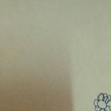 追擊之花-黑木詩織系列