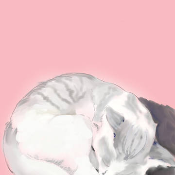 懒猫-维多克