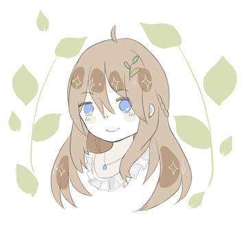 自设