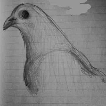鳥の練習