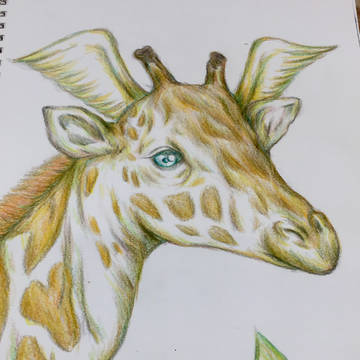 キリンの夢
