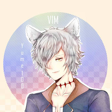 Vim.