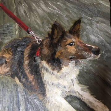 自宅の犬