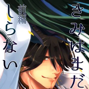 【8/20超閃華・紅一点4】そねさに新刊　サンプル