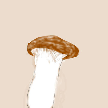 エリンギ