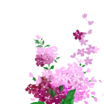 绣球花