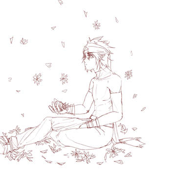 花雨
