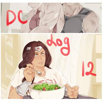 DC Log 13