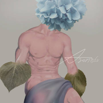 紫陽花の君