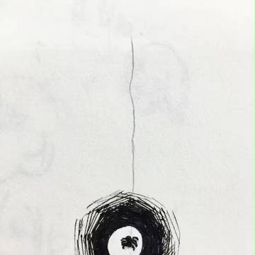 没地方去小蜘蛛