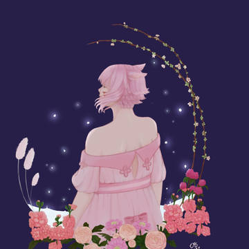 花がいっぱい。。