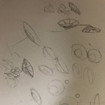 花描く練習