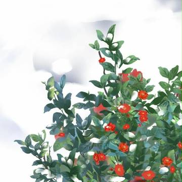 小树红