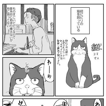 紺ちゃん漫画 まとめ(1~6)