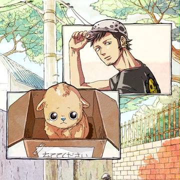 子犬を育てましょう!