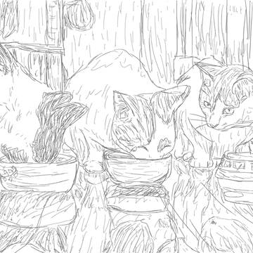猫たちの朝ごはん。