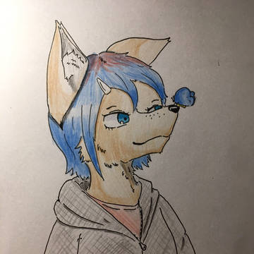 蝶々
