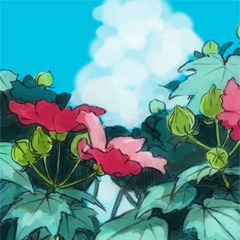 夏だ