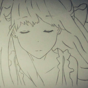 rin from shelter
