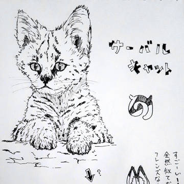 サーバルキャット