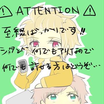 至綴詰め合わせ