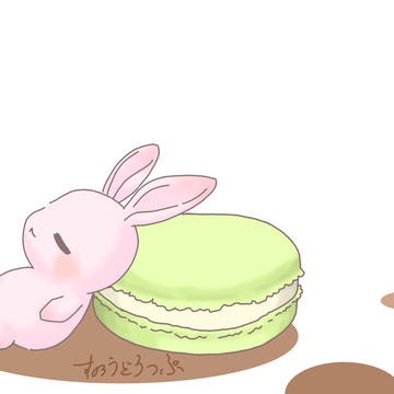 マカロンとうさぎ
