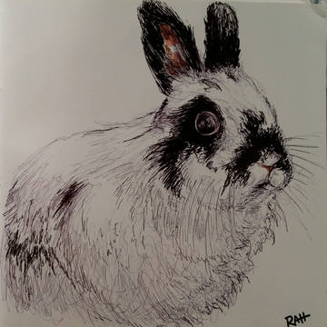 Rabbits on Twitter