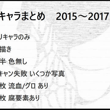 オリキャラまとめ 2015~2017(夏)