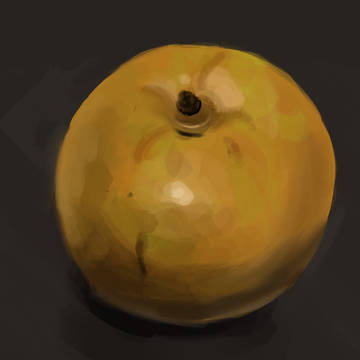 習作 ナシ