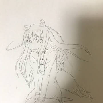 ホロ