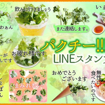 パクチー!!!(写真)LINEスタンプ販売中。