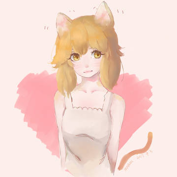 うちの猫