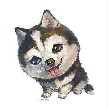 二哈真二